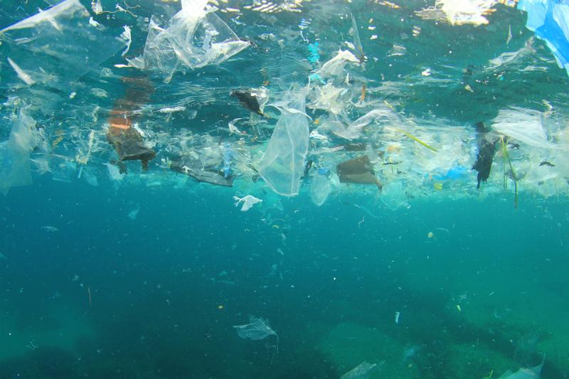 Plastic Pollution – A Global Issue
