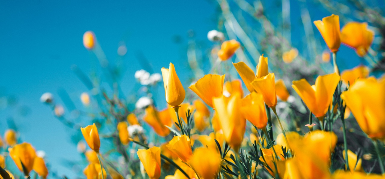 March 2026 Newsletter